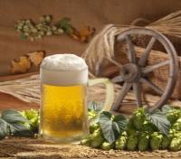 Beer 