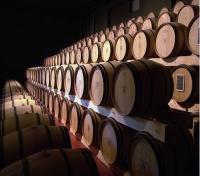 The Cellar at Chateau la Tour Carnet