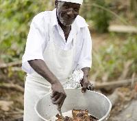 Jerk Chicken Prep