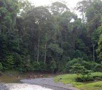 Danum River