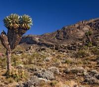 Barranco Trail