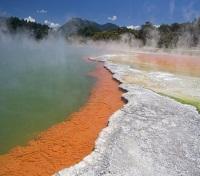 Geothermal Wonderland in Rotorua