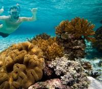 Snorkeling