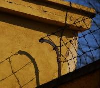 Optional: Terezin Camp Tour