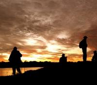 Amazon Sunset