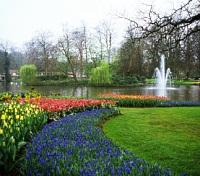 Keukenhof Gardens