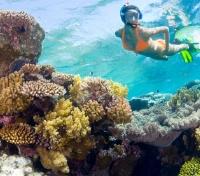 Snorkeling