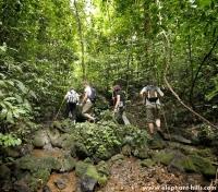 Trekking