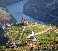 Douro River Vineyards