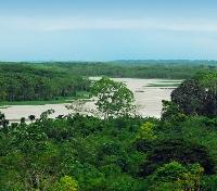 Expansive Amazon Basin