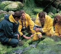 Guided Hikes