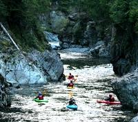Kayak Outing