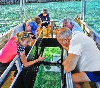 Glass Bottom Boat