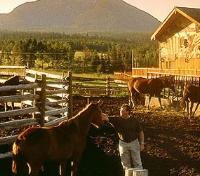 Horse Corral at the Ranch