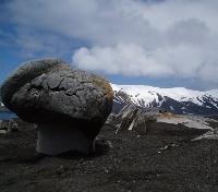 Whaling Remains