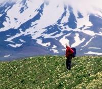 Pure Wilderness