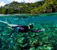 Snorkeling