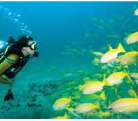 Optional Scuba Diving