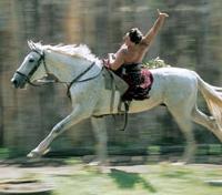 Horsemanship Show