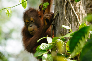 Beyon Exotic Cruises                                                                                                                                                                                                                                           