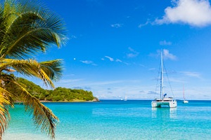 Yacht Charters                                                                                                                                                                                                                                                 