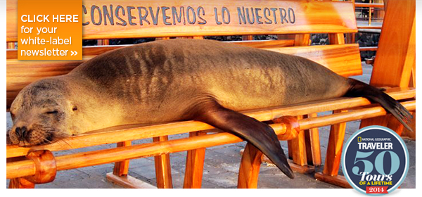 The Island Of Gods, $500 Off Explorer Series, Japan, France, Peru & More