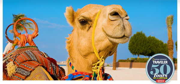 The Island Of Gods, $500 Off Explorer Series, Japan, France, Peru & More