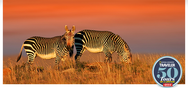 Adventures In Paradise – Costa Rica, Croatia, Africa, Spain & More