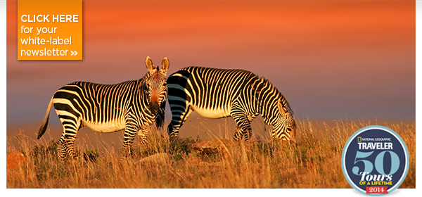 Adventures In Paradise  Costa Rica, Croatia, Africa, Spain & More