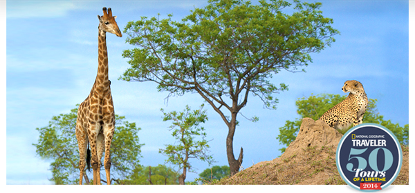 Animal Kingdoms & Culinary Magic - Botswana, France, Amazon, China & More