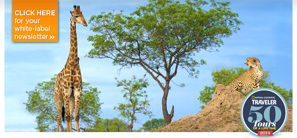 Animal Kingdoms & Culinary Magic - Botswana, France, Amazon, China & More