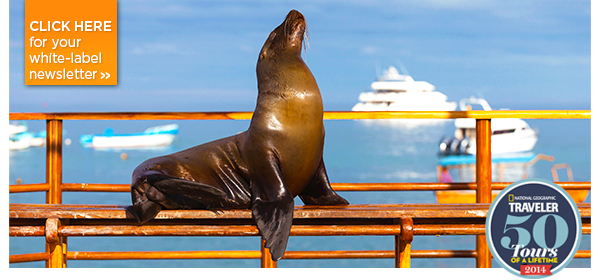 Galapagos at Christmas, India for less and more great adventures
