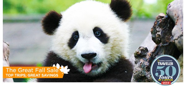 The Great Fall SALE - Top Trips; Great Savings.