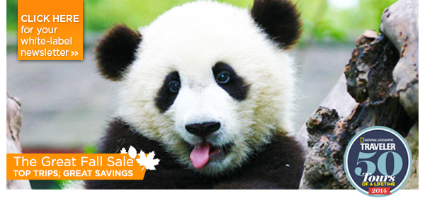 The Great Fall SALE - Top Trips; Great Savings.