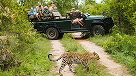 southafrica