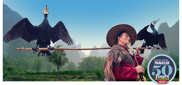 From Tigers To Tuscany   India, Italy, Bali, Peru & More