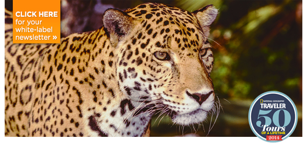 Win A 5 Star Tour Of India, UnBelizable Adventures, Great Migration & More