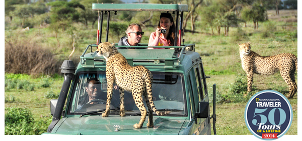 From Tigers To Tuscany –  India, Italy, Bali, Peru & More