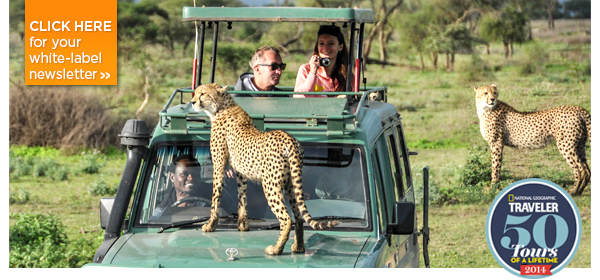 From Tigers To Tuscany   India, Italy, Bali, Peru & More