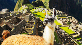 peru