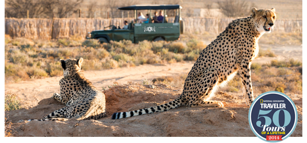 From Tigers To Tuscany   India, Italy, Bali, Peru & More