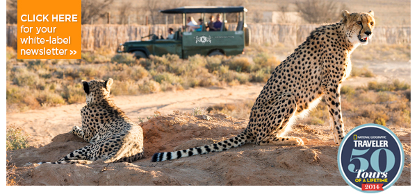 From Tigers To Tuscany   India, Italy, Bali, Peru & More