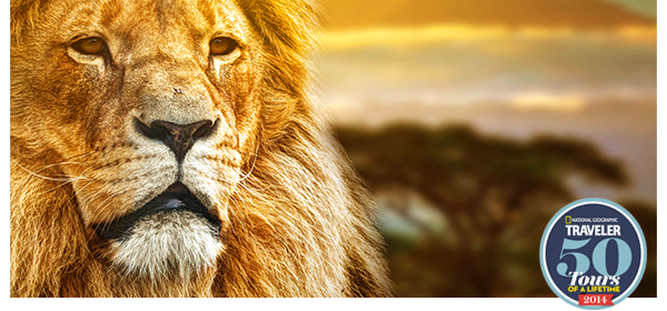 Trips Legends Are Made Of - Greece, Peru, Oz, Thailand, South Africa & More