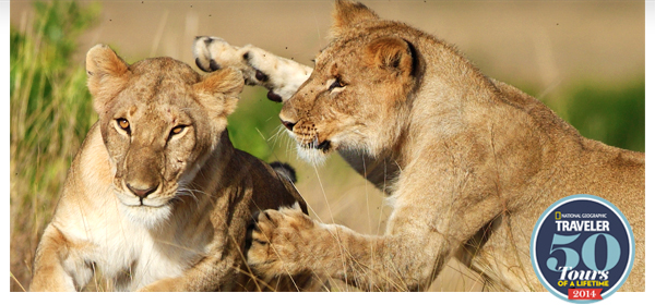 Trips Legends Are Made Of - Greece, Peru, Oz, Thailand, South Africa & More