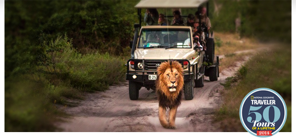 Trips Legends Are Made Of - Greece, Peru, Oz, Thailand, South Africa & More