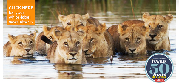 Trips Legends Are Made Of - Greece, Peru, Oz, Thailand, South Africa & More