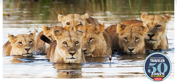 Trips Legends Are Made Of - Greece, Peru, Oz, Thailand, South Africa & More