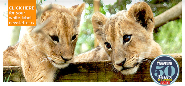 Trips Legends Are Made Of - Greece, Peru, Oz, Thailand, South Africa & More