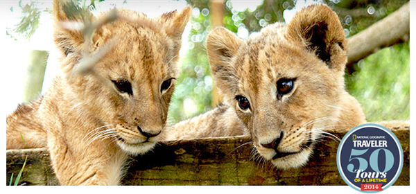 Trips Legends Are Made Of - Greece, Peru, Oz, Thailand, South Africa & More