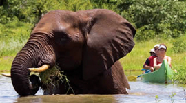 botswana
